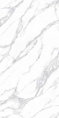 DLF-DB2M12BC--Y/DB6M12BC