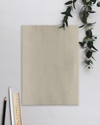 BQ-20-073奥古曼影